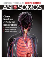 Así Somos - El cuerpo humano